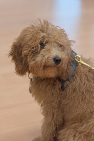 MMWS 2024 - Impressions - DSC_2217.jpg